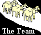 Mule Dog Team