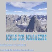Winter 2001 Issue features, Erin Hay, Jackalope Junction, The Blues Hawks, Rick Allen, Shelley Buffitt, Stoneagle, George Day, Anolog X: Cookie Wall and more, Text Reader, Release Dates, Letter From The Publisher