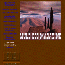 Fall 1999 Issue features, British Group Releases Mule Dog Song, Mule Dog Records Hits the European Country Charts, Letter From The Publisher, Mule Dog Planet Revealed, Across The Miles Paul Mataki Review, Dianne Rhodes Review, Steadman Review, vTuner The Internet Radio Reciever, DSTUNER guitar tuner, Tom's Little Geography  Corner, Mule Dog Records opens store on VR world, Thomas Leary Review?