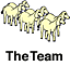 The Mule Dog Team